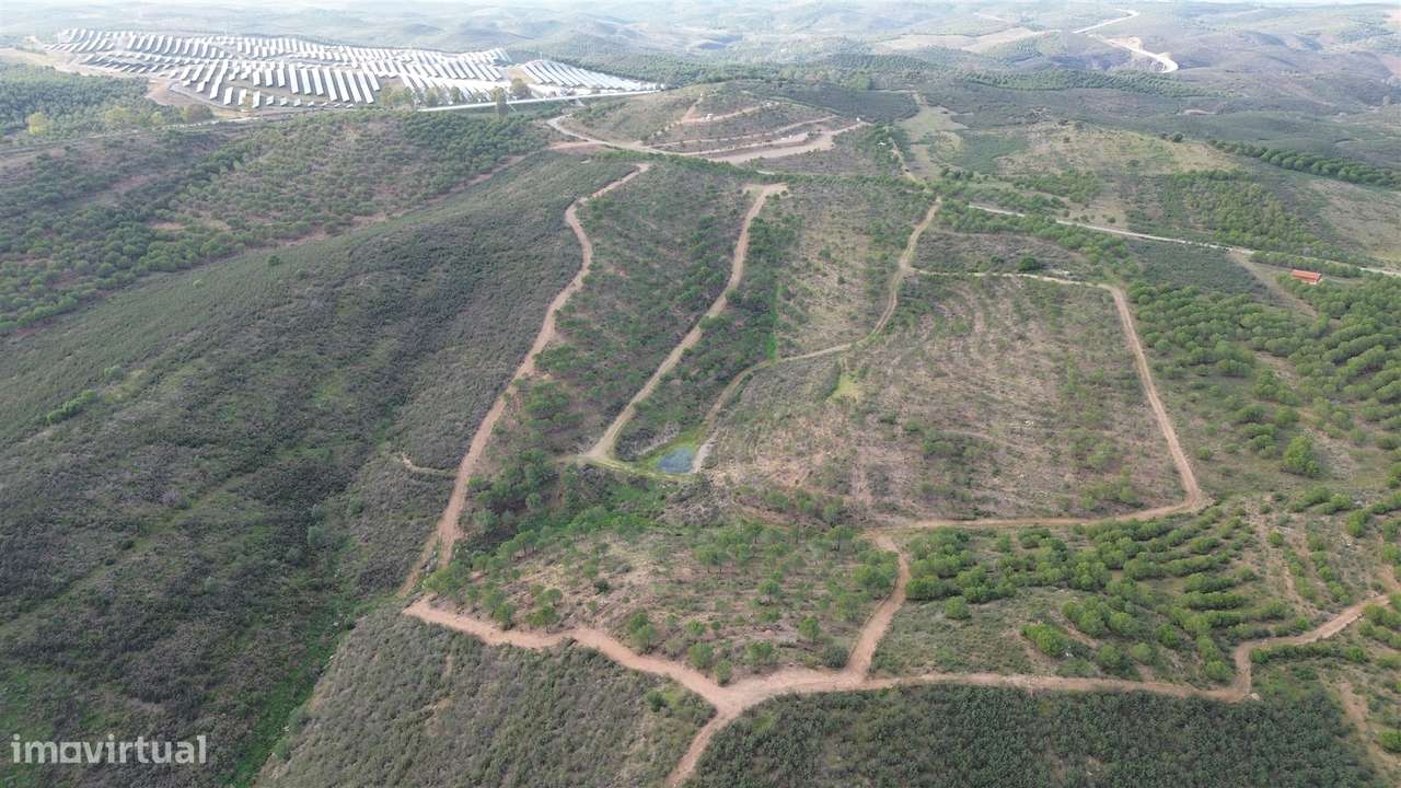 Terreno Rústico  Venda em Alcoutim e Pereiro,Alcoutim-4
