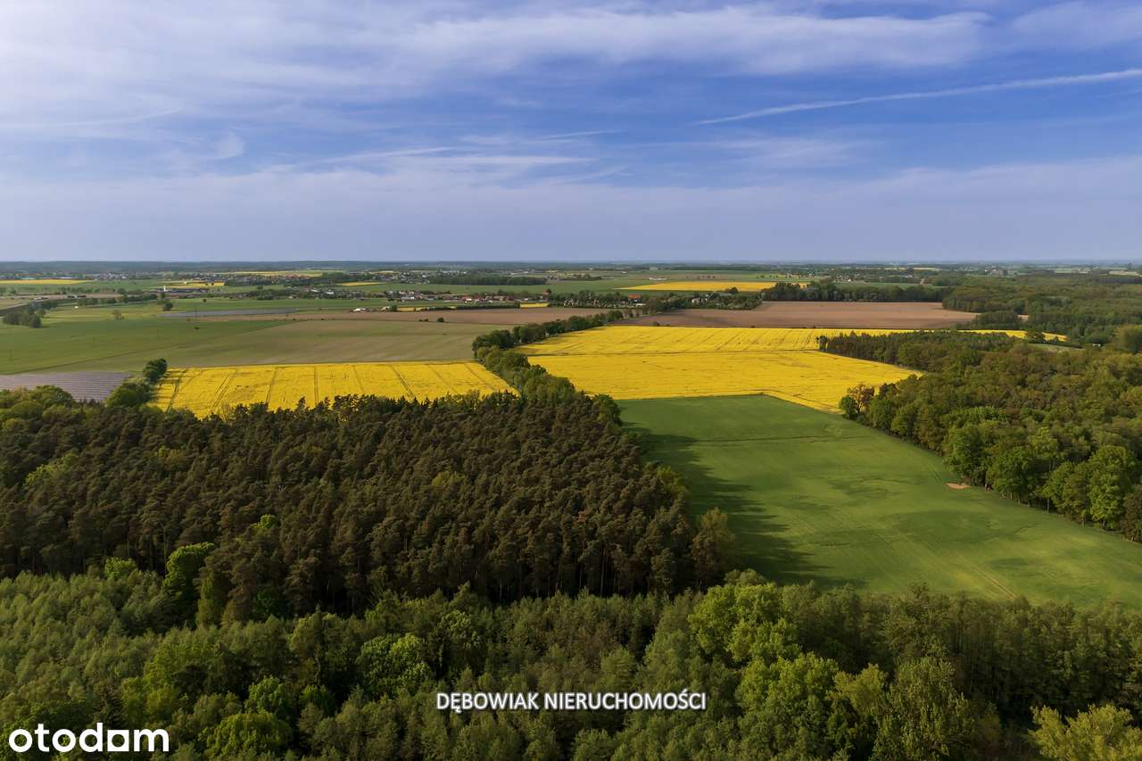 II etap sprzedaży / Atrakcyjne nowe osiedle w Gronówku / blisko Leszna-15