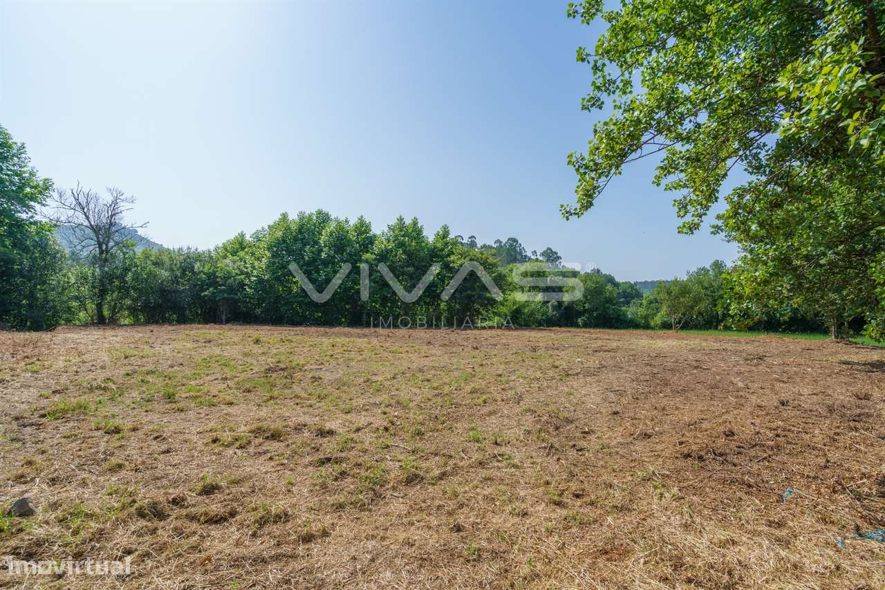 Terreno Rústico  Venda em Pico,Vila Verde - Grande imagem: 4/20