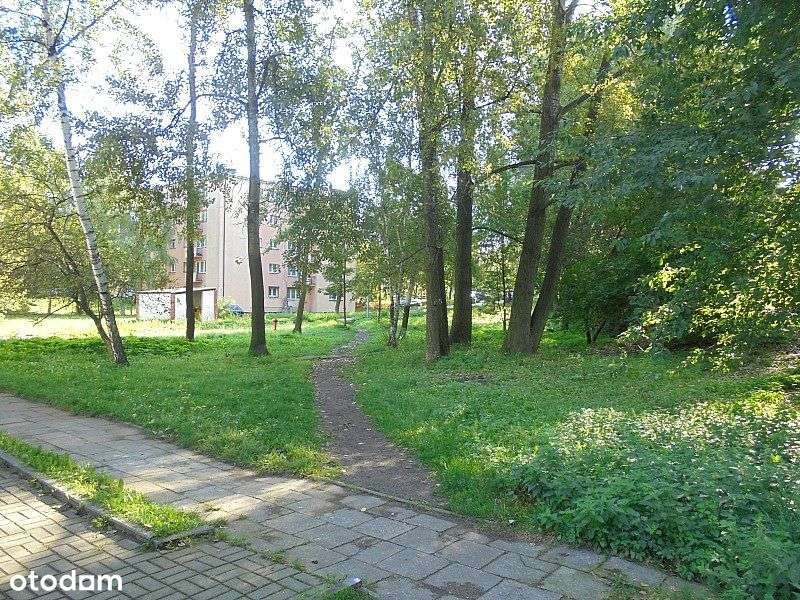 działka inwestycyjna w centrum Świętochłowic - Pełny obrazek: 2/6