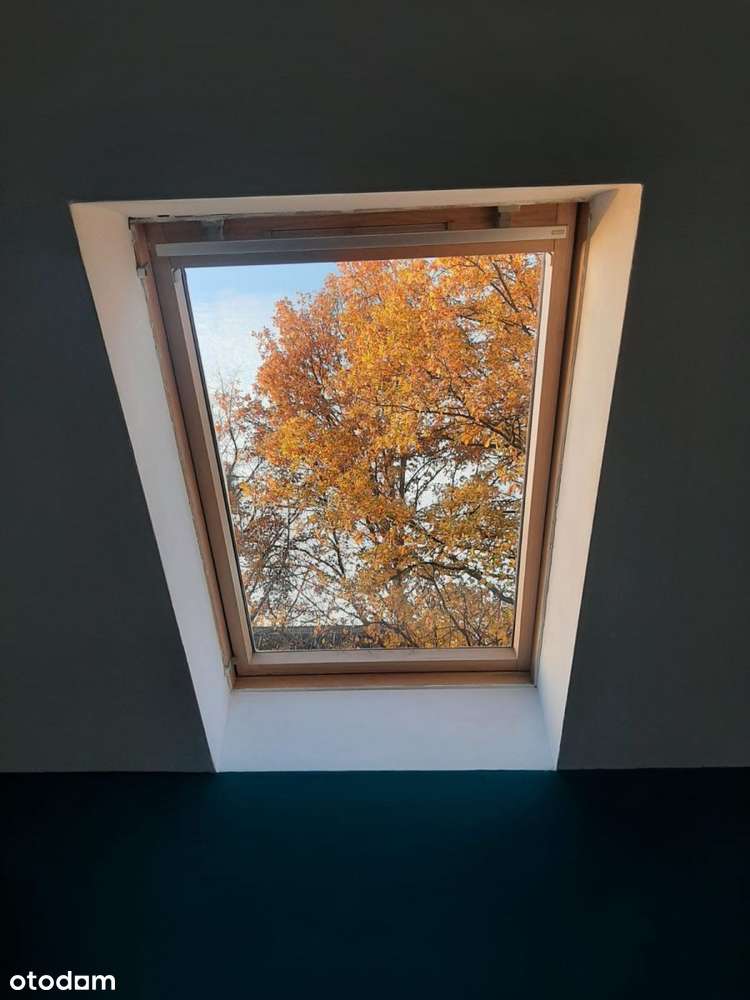 wolnostojący / ogród / garaż w bryle budynku-13