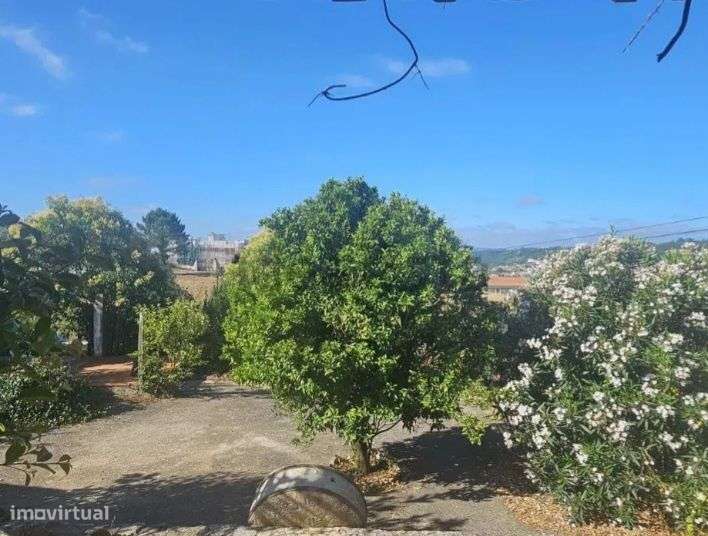 Duas Moradias e terreno - Grande imagem: 5/9