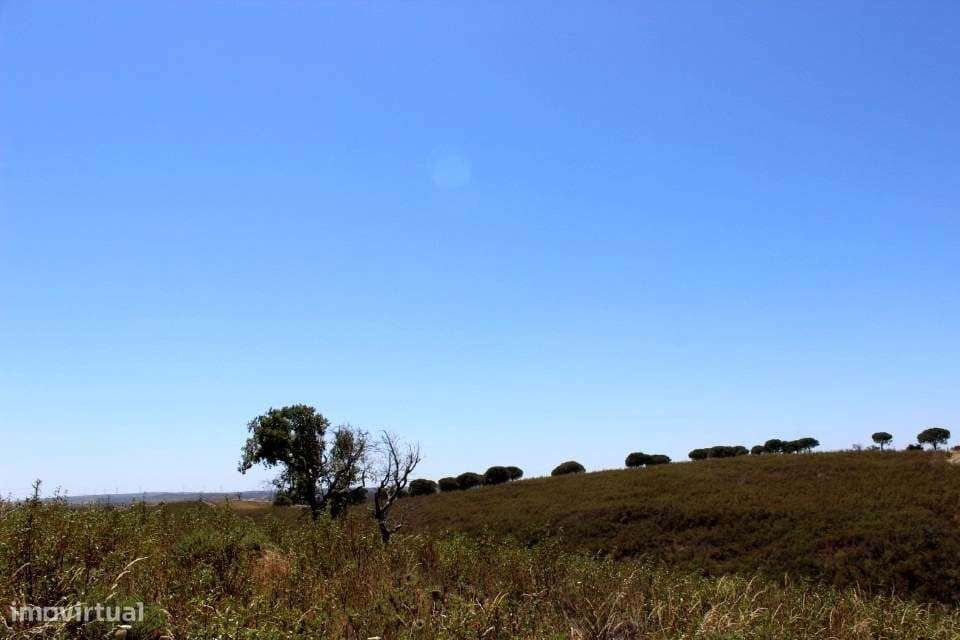 TERRENO RÚSTICO SEM RUINA, BENSAFRIM - Grande imagem: 4/11
