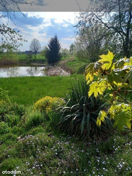 Dom 180m2, okolice Poddębic-5