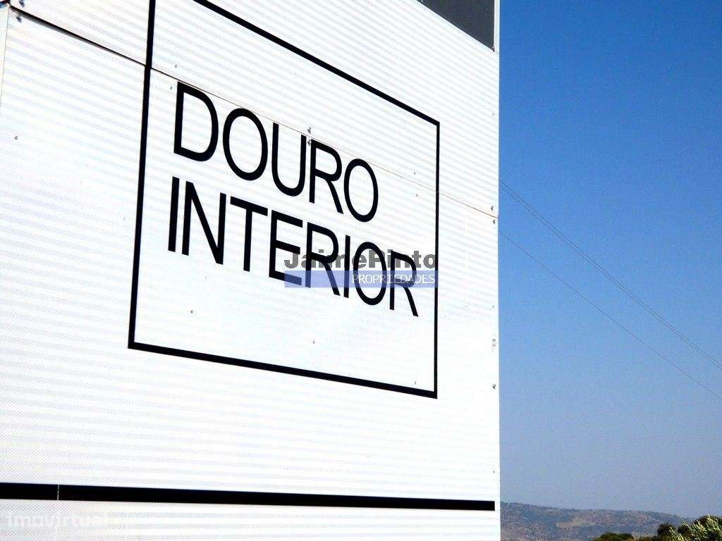 TERRENO AGRÍCOLA 104.000m2 para plantações novas. Portugal, ALFÂNDE...-8