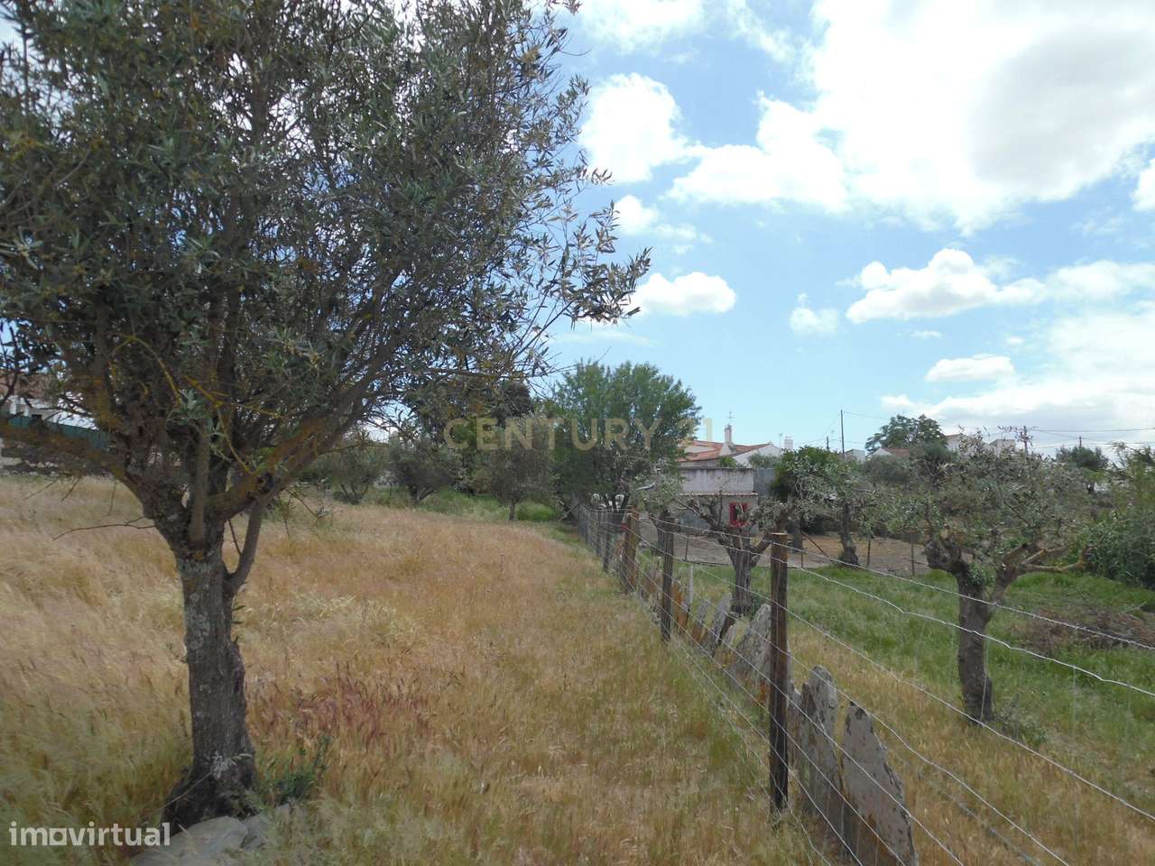 Quinta em Capelins,  Alandroal - Évora,  Oportunidade Única-20