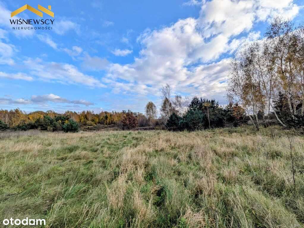 Na sprzedaż działki bud., Sztumskie Pole, 1146m2 - Pełny obrazek: 4/9