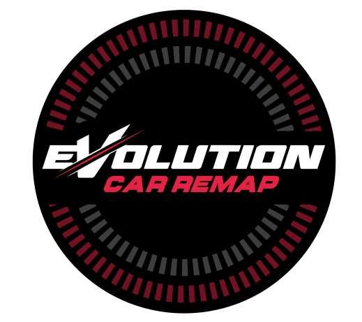 DS premium cars logo
