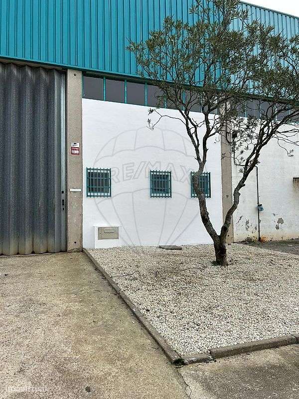 Armazém  para arrendamento - Grande imagem: 5/14