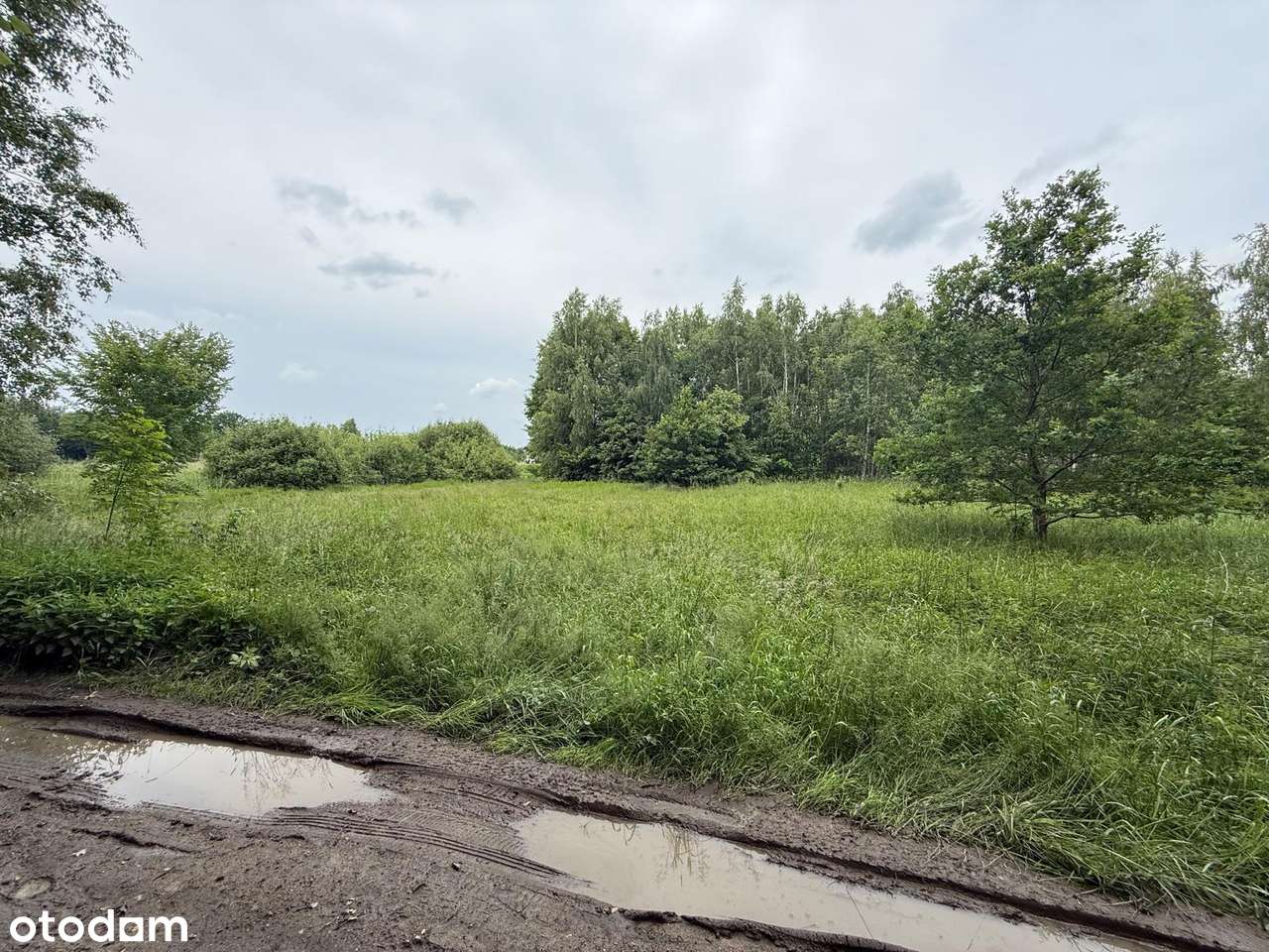 Działka z potencjałem przy samym jeziorze - Pełny obrazek: 4/8