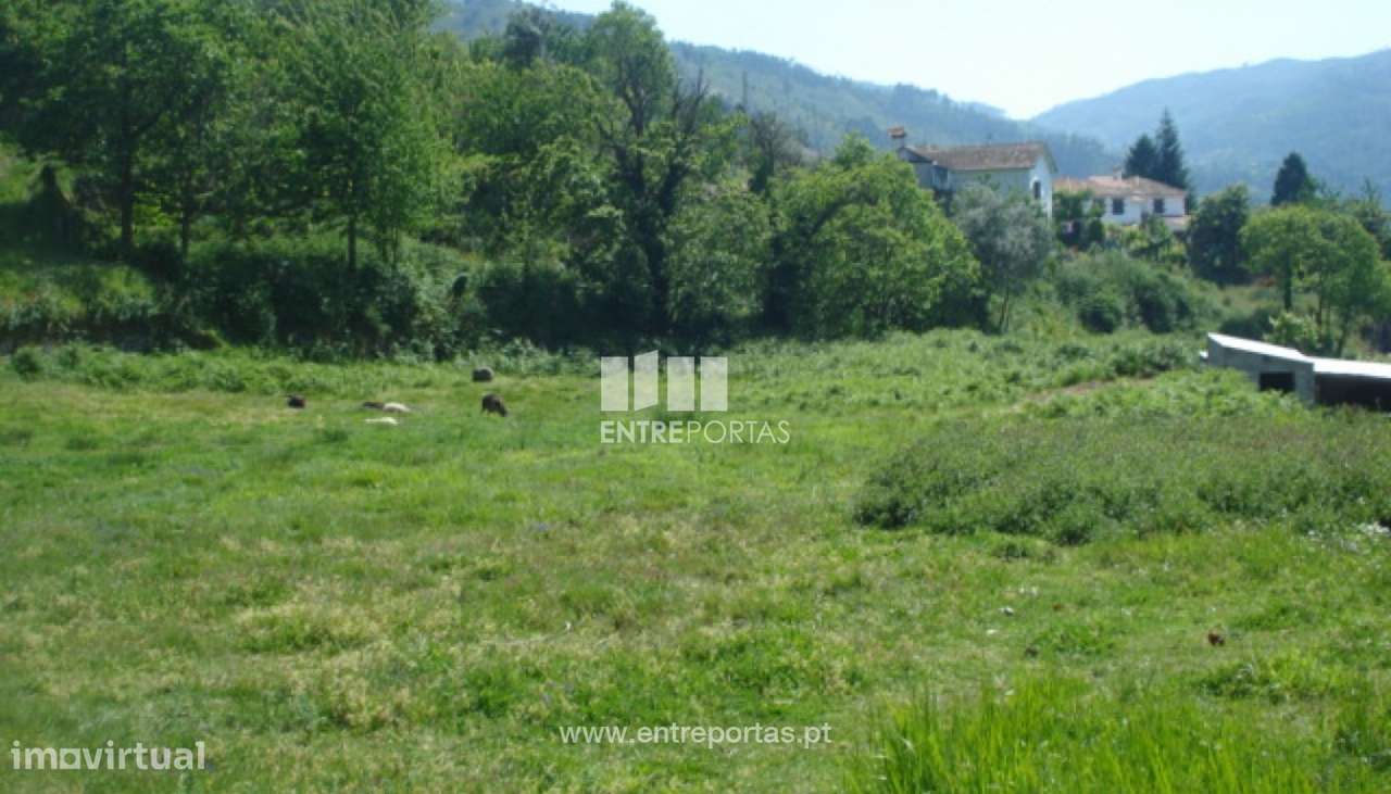 Venda Terreno, vista desafogada, São Cristóvão de Nogueira, Cinfãe - Grande imagem: 5/9