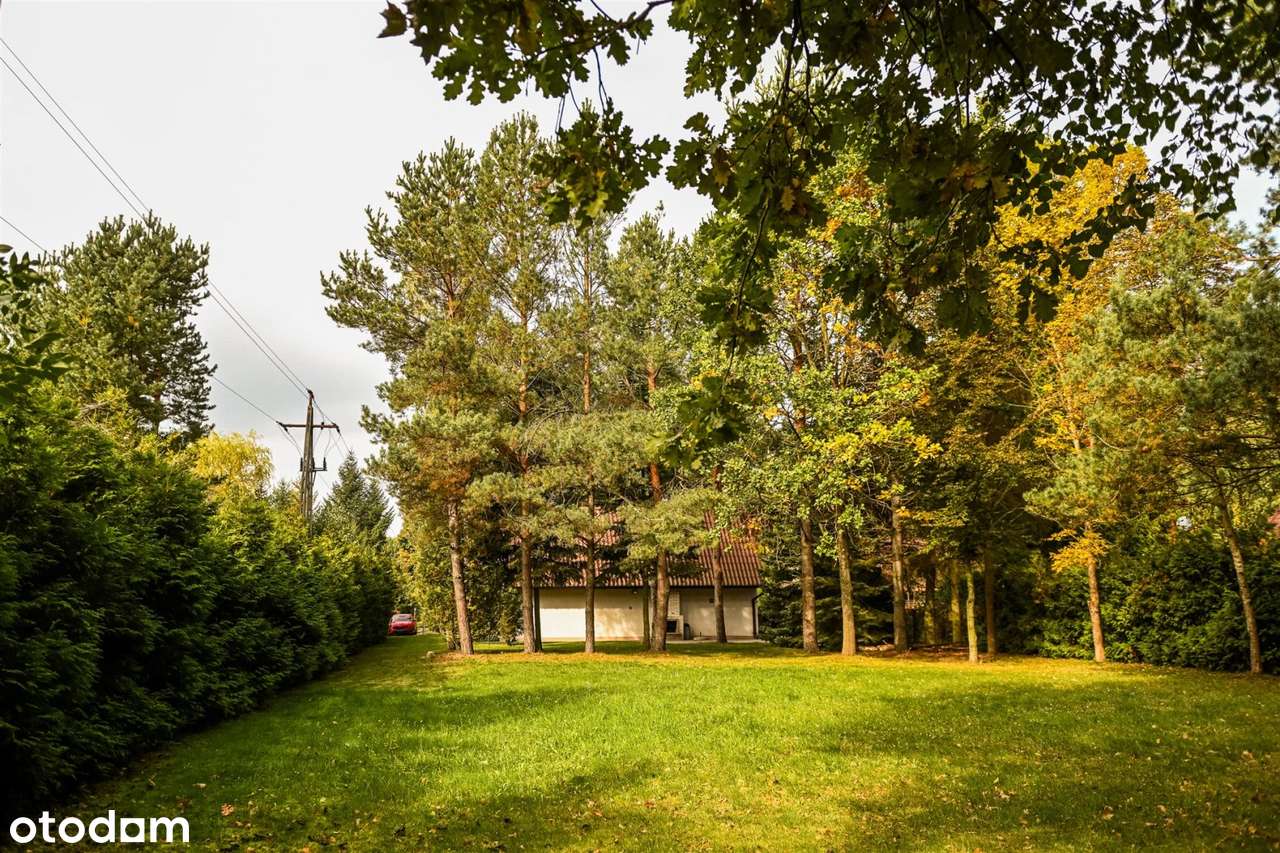 Piękny domek z dużą działką i pięknymi drzewami - Pełny obrazek: 5/20