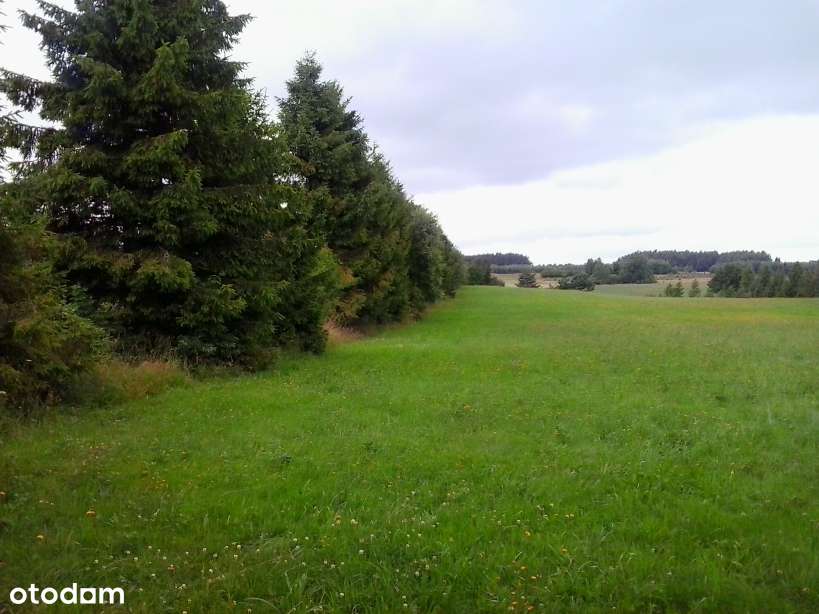 Pomlewo k. Gdańska budowlana, 1014 m2 i 1225 m2