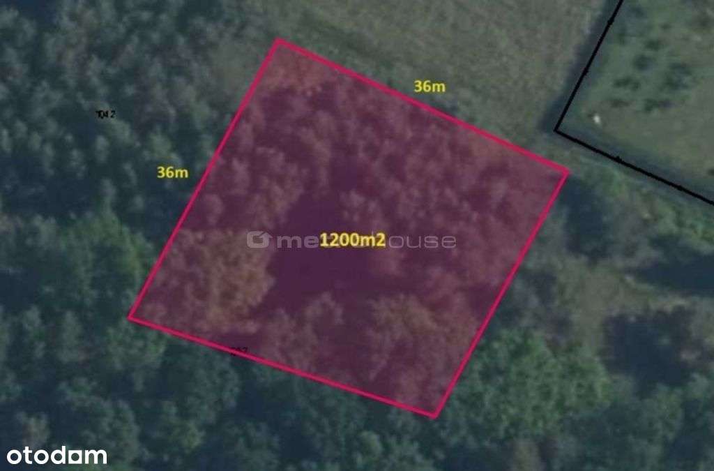 Kameralna działka wśród lasów! - Pełny obrazek: 5/6