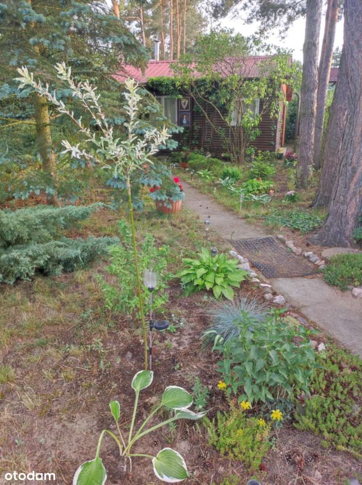 Działka budowlana z domkiem rekreacyjnym - Pełny obrazek: 2/12