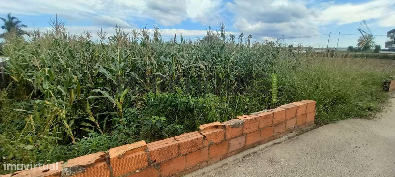 Terreno para venda em zona privilegiada de Avanca - Grande imagem: 5/9