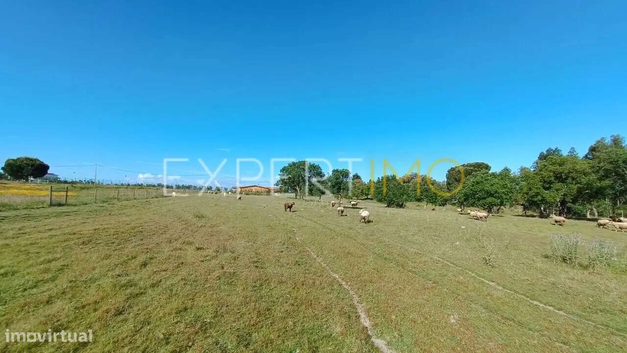 Terreno rústico em Carrapatal Canha - Montijo - Grande imagem: 4/8