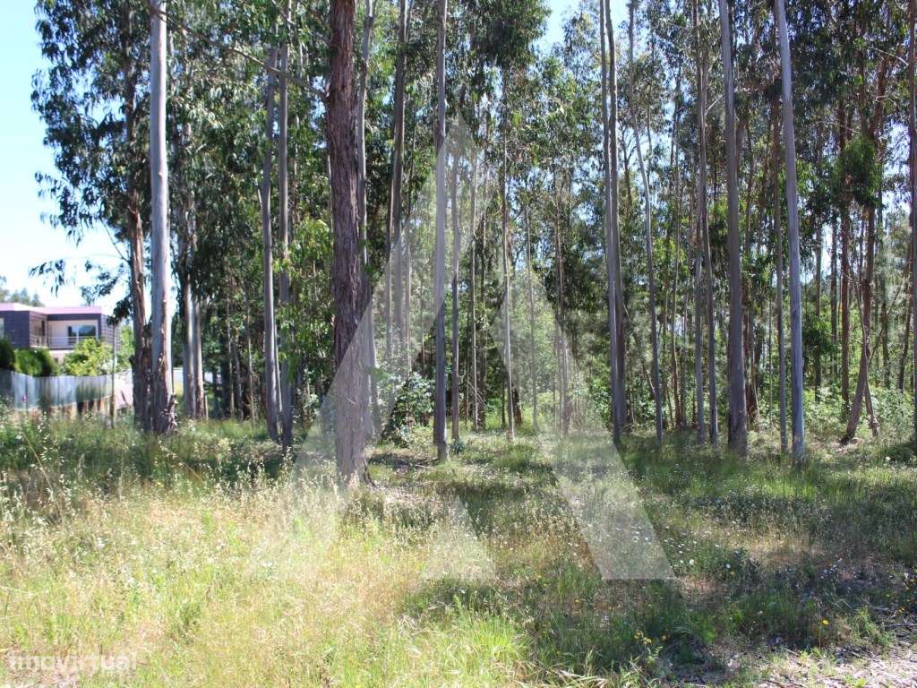 Terreno na Macida para Construção - Grande imagem: 5/6