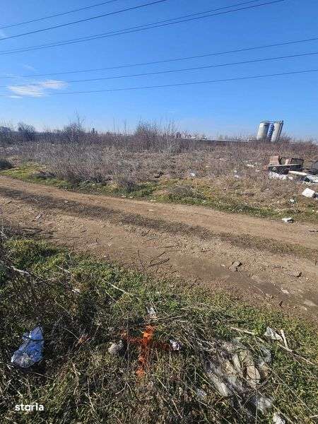 Vanzare teren 7500 mp , Jilava -Sector4- Pogoanele -Drm. Bercenarului - Imagine principală: 4/7