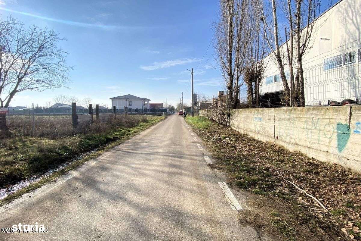 Afumati - Str. Iasomiei, 2409 MP, stradal, intravilan, deschidere 12 m - Imagine principală: 2/19