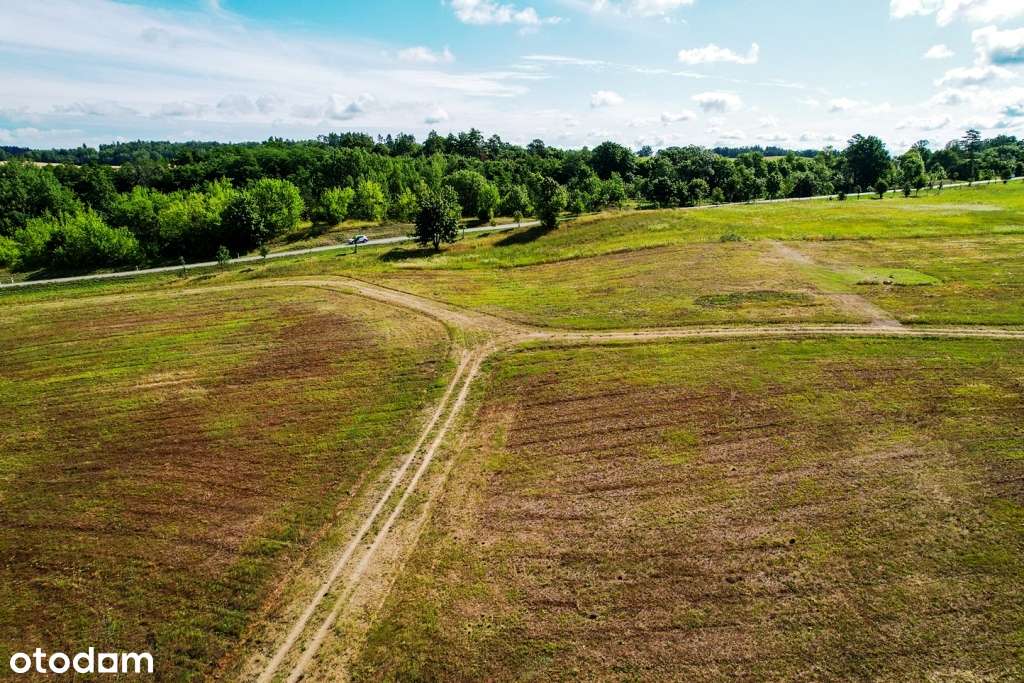 Działki z linią brzegową oraz z dostępem do jeziora Wierzbowskiego-14