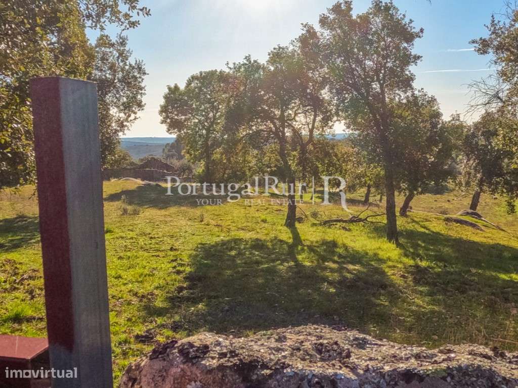 Quintinha com 1,2ha e ruína urbana em São Miguel Acha-14