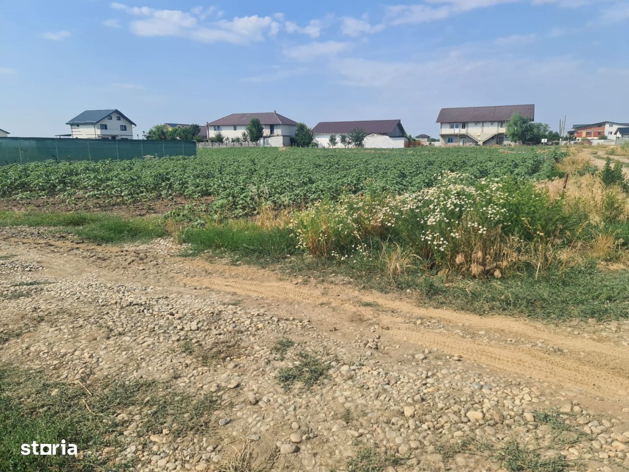 Teren intravilan - construibil - zona de top - comuna Berceni