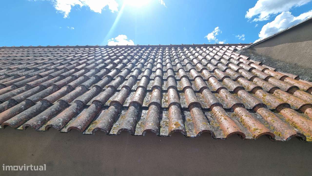 2 Moradias para remodelar com logradouro - Carvalhal Benfeito-12