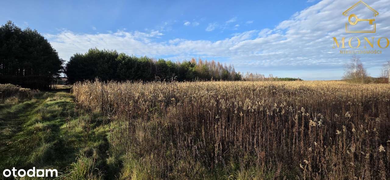 Działka 1,61 ha ok. 10 km od Buska-Zdrój-4