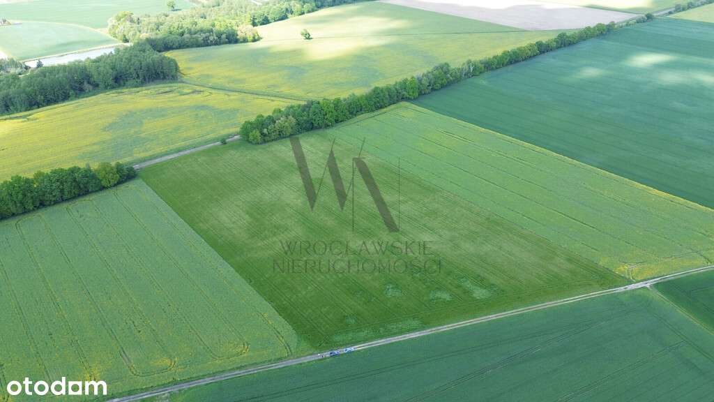 Działka inwestycyjna AG/6 – Cieśle, gmina Oleśnica-4