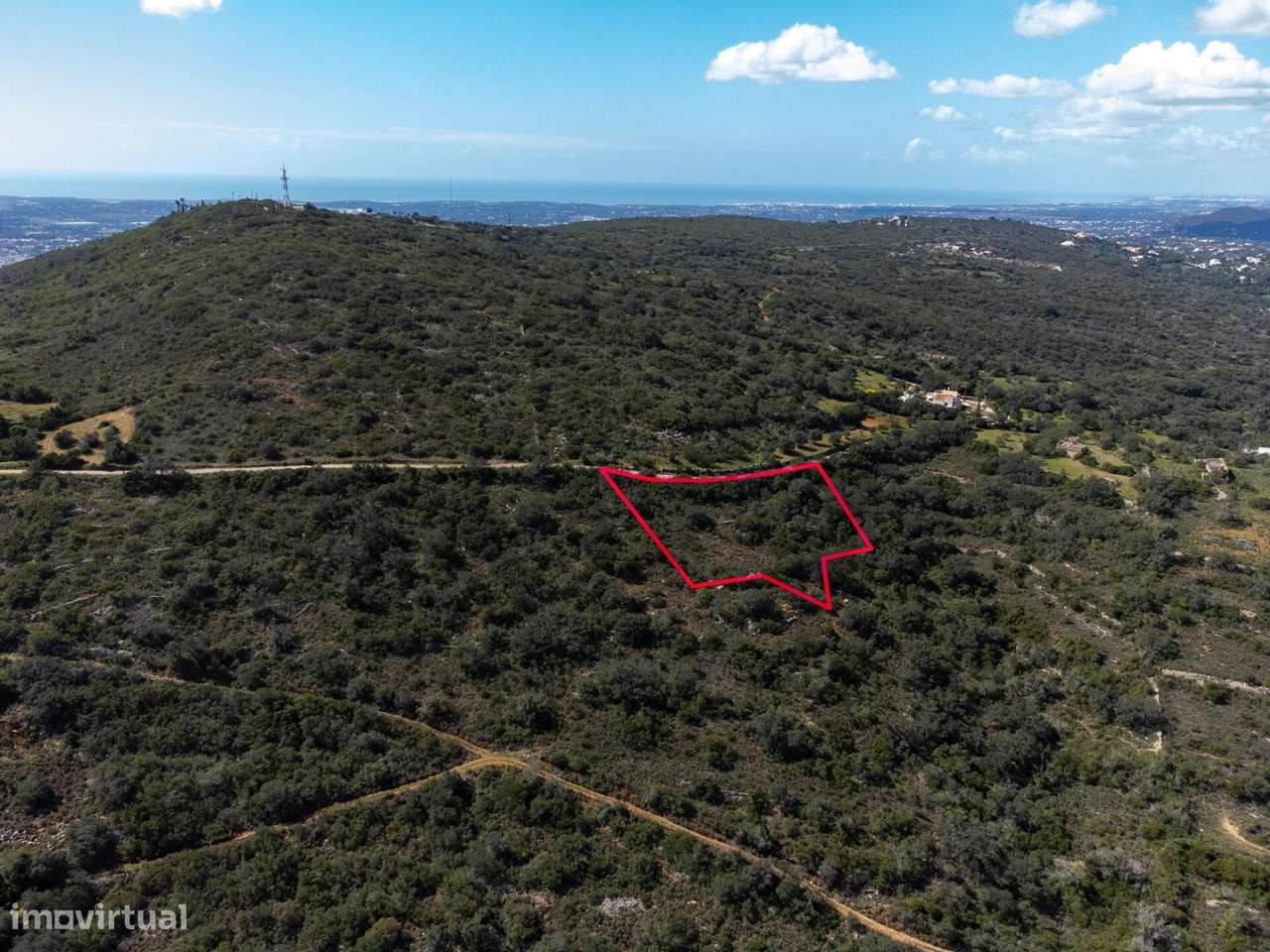 Terreno Rústico, Santa Bárbara de Nexe - Grande imagem: 4/15