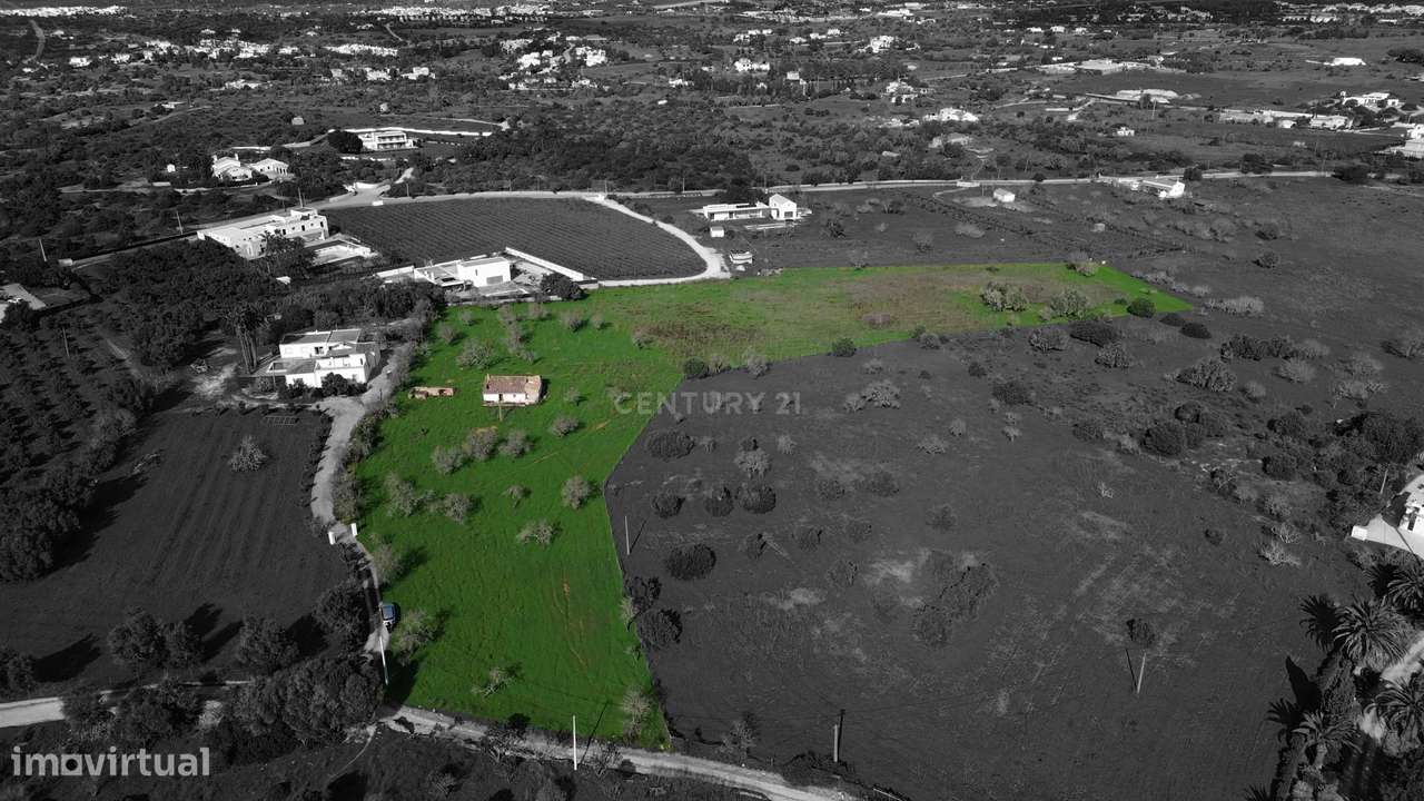 Propriedade com Ruína e Projeto Aprovado para Moradia Unifamiliar – Op - Grande imagem: 5/20