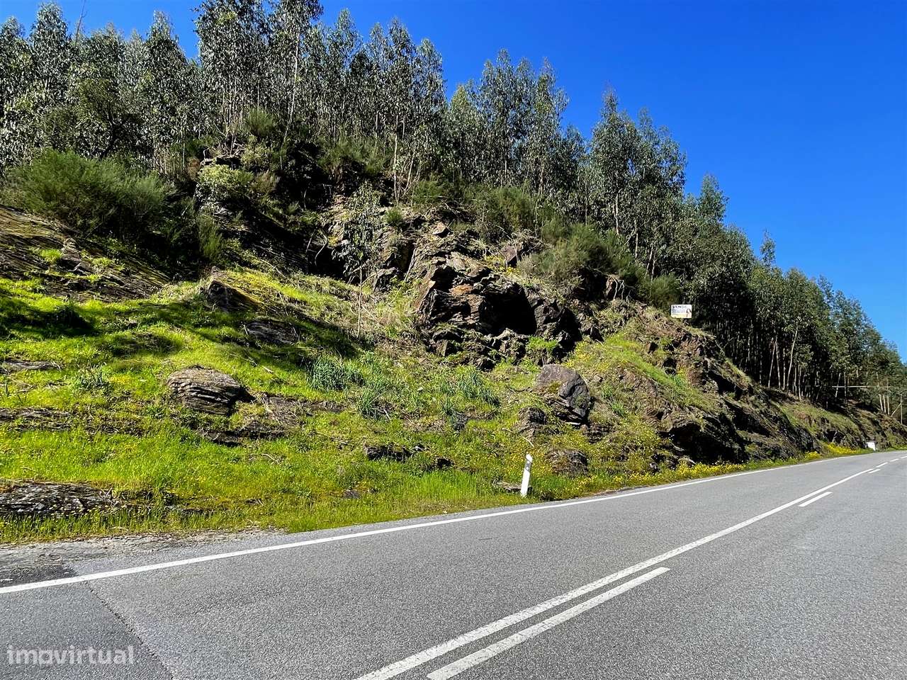 Terreno Florestal - Grande imagem: 2/8