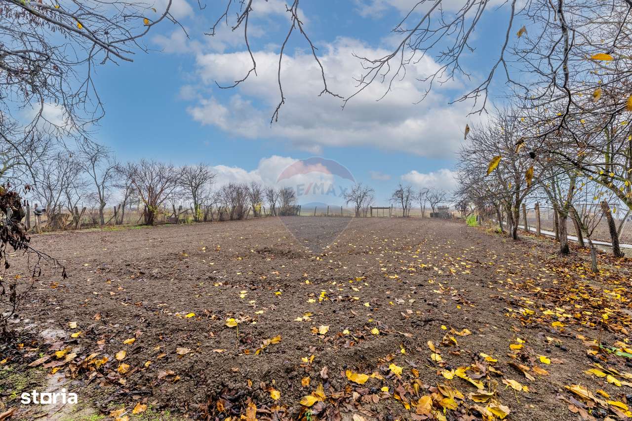 Casă cu anexe si teren de 759mp in Misca-1