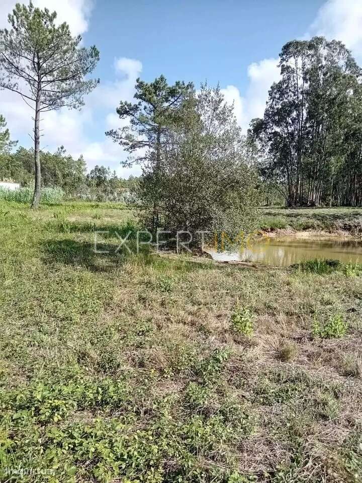 Terreno para construção Pataias Alcobaça - Grande imagem: 2/4
