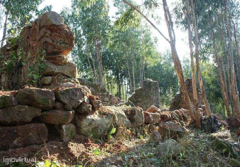 Buarcos - Herdade com vista de mar - Grande imagem: 3/16
