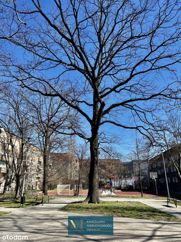 Krzywoustego | 3 pokoje | rozkładowe | słoneczne-17