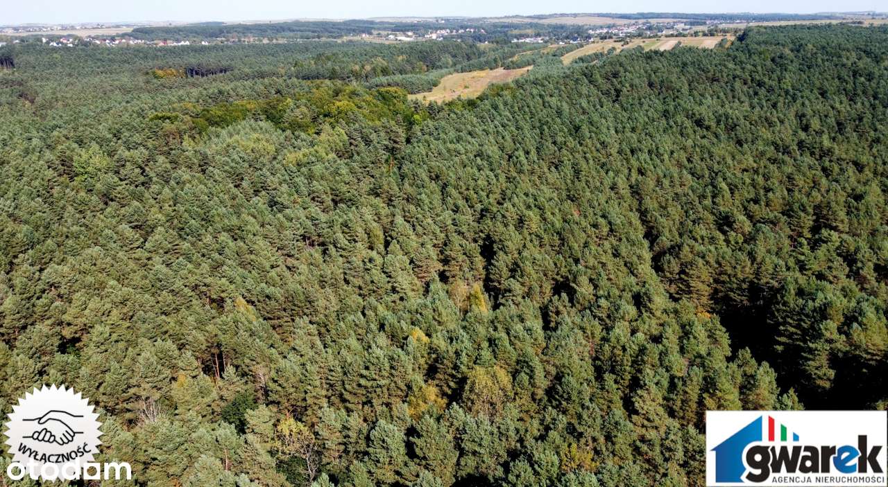 Prostokątna Działka Leśna, 15420 m2, Zederman-5