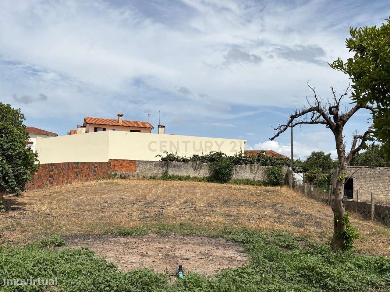 Excelente Moradia  em Ouca, Vagos - 4 Quartos e Jardim-30