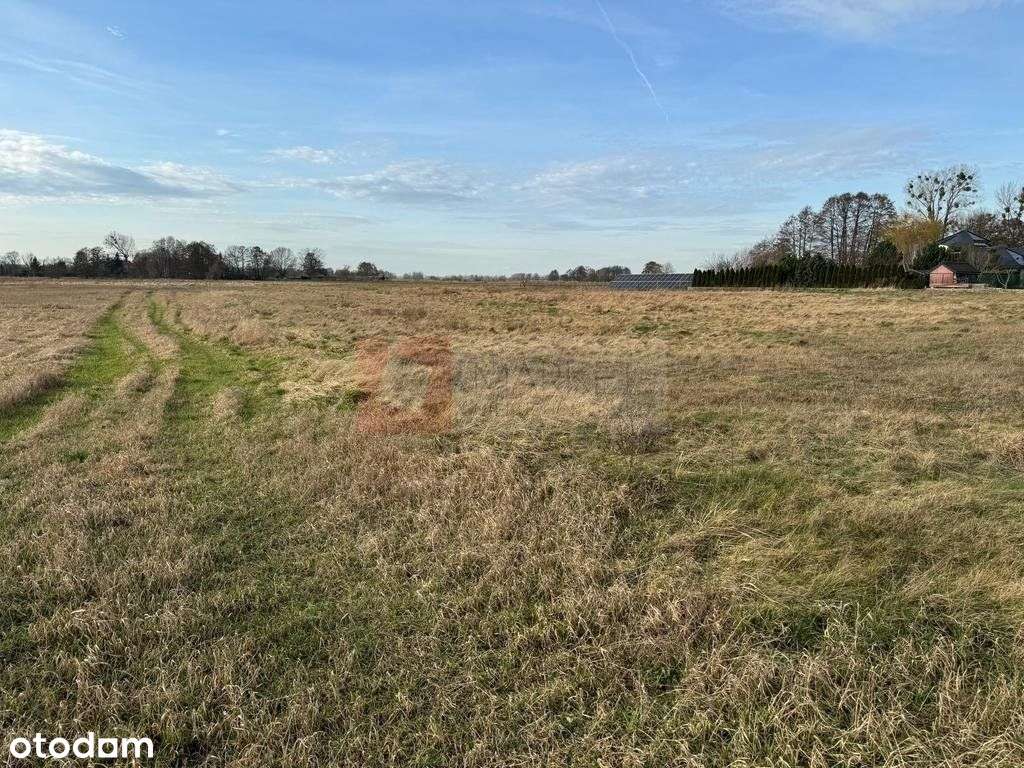 Lubczyna - działka o pow. 1052 m2 - piękna-3