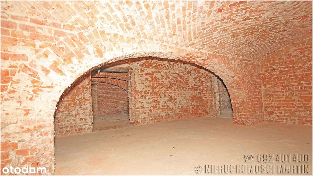 pałac w Niegolewie z parkiem 17 ha w tym rola 6 ha-6