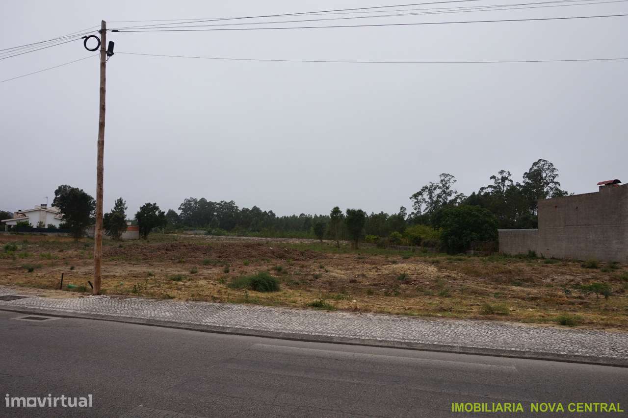 Lote de Terreno  Venda em Cantanhede e Pocariça,Cantanhede - Grande imagem: 5/10