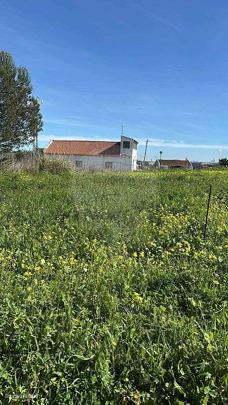 Terreno  para venda-13