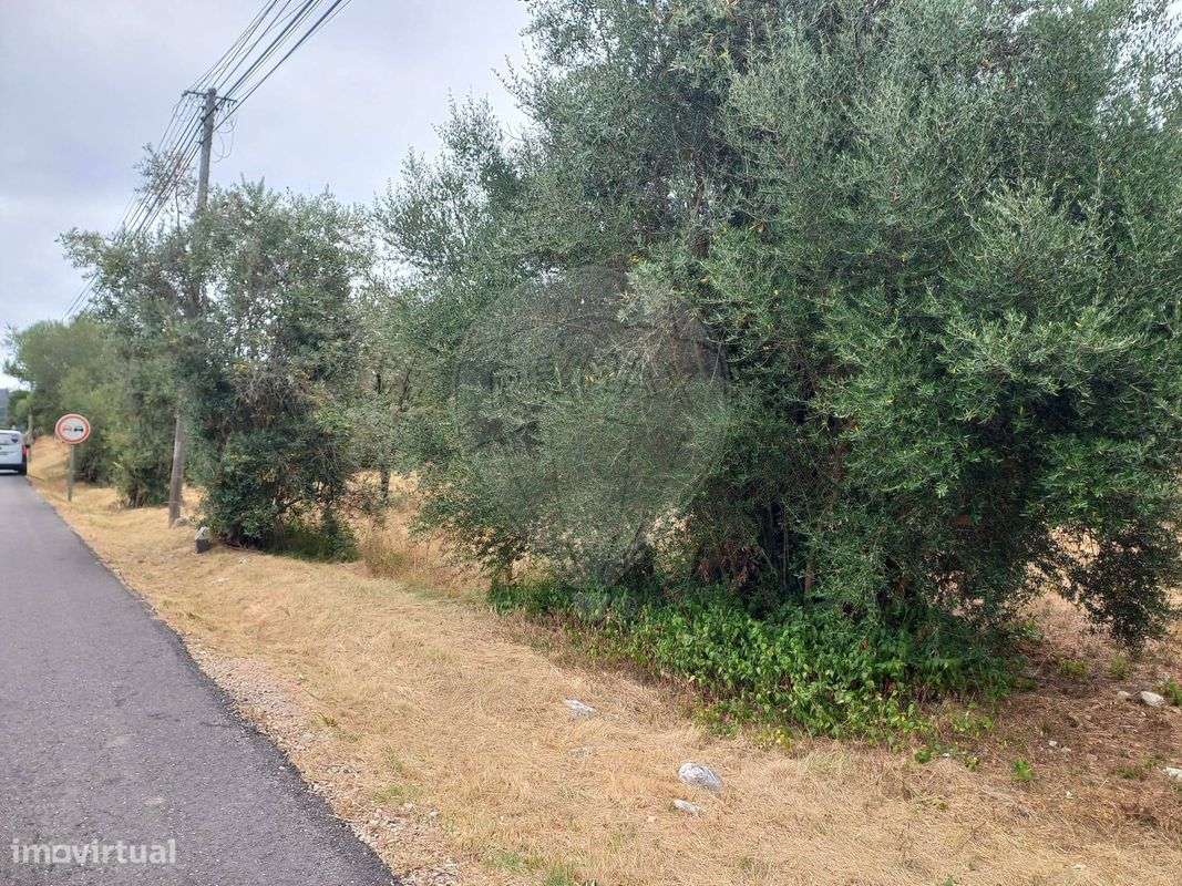 Terreno  para venda - Grande imagem: 2/4