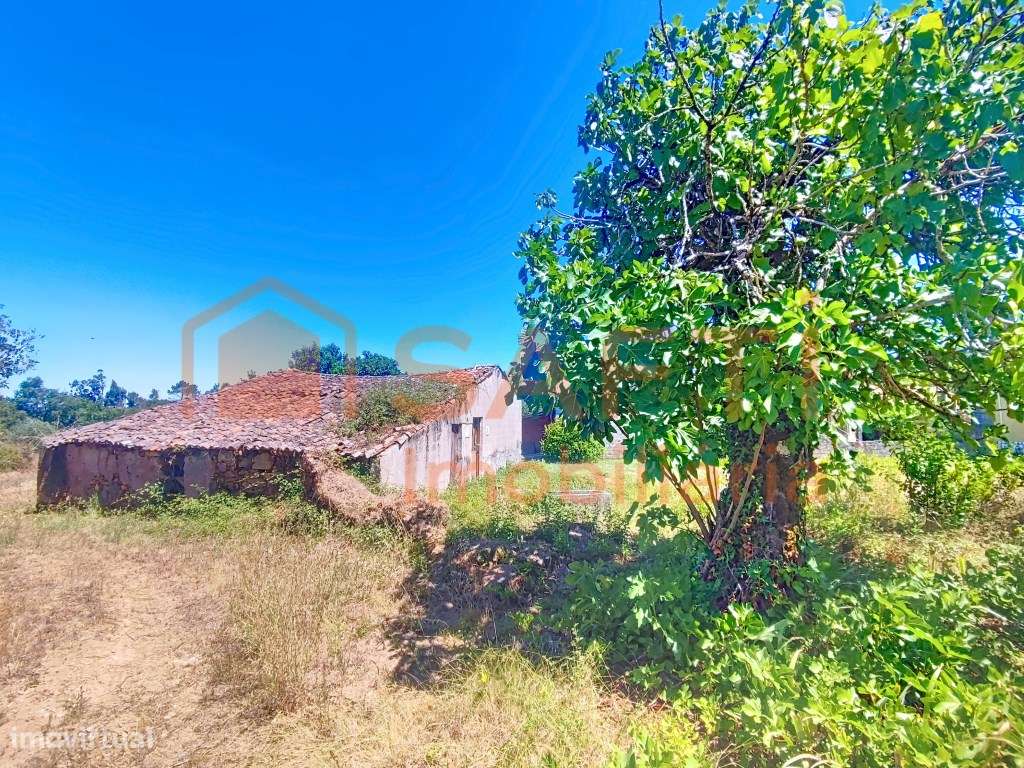 TERRENO URBANO COM RUÍNA - MAÇÃS DE DONA MARIA - Grande imagem: 4/10