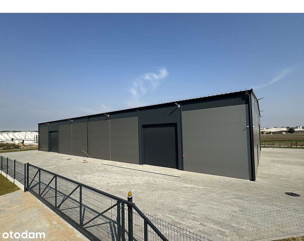 Nowa hala - 550m2 lub 1100m2 - blisko węzła - Pełny obrazek: 4/9