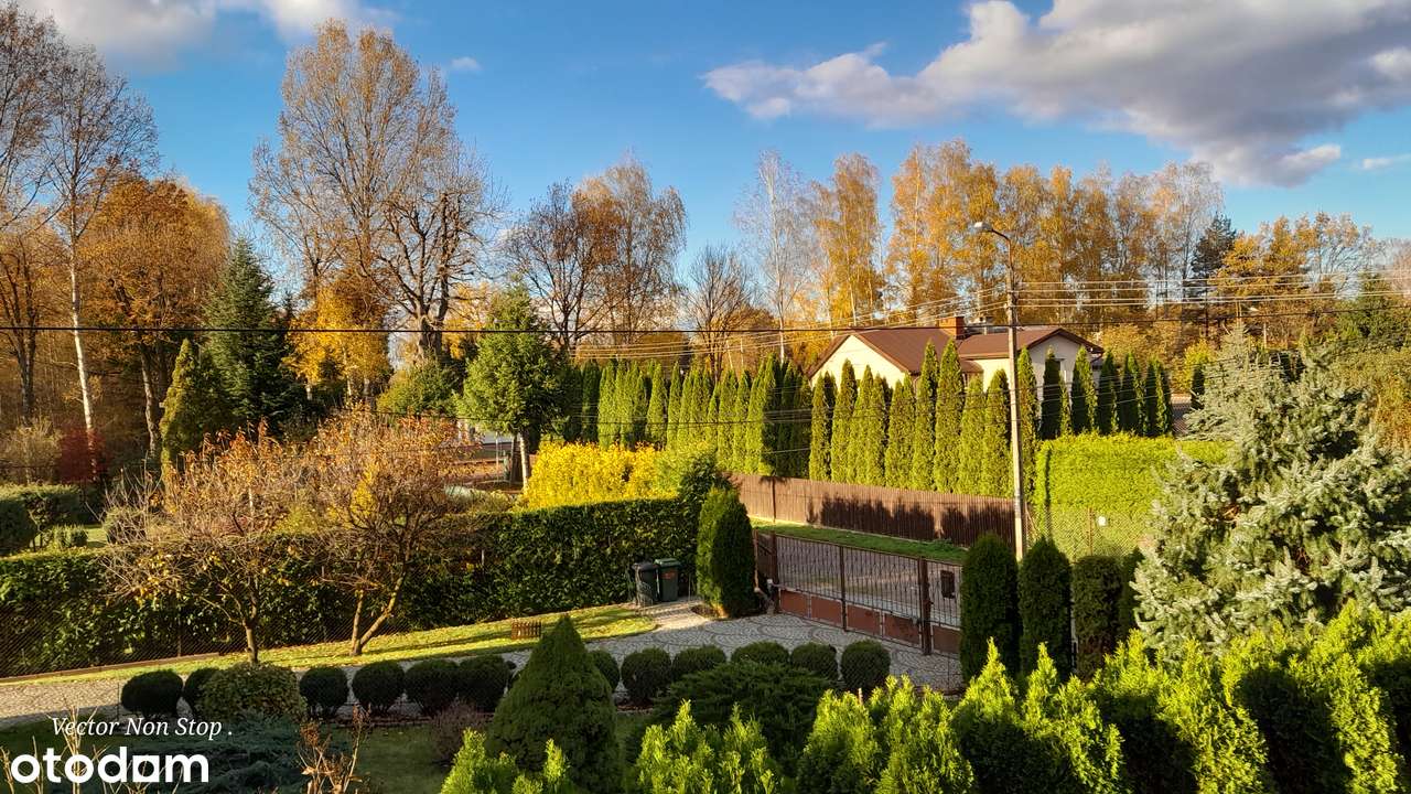 Dom, 345 m², Złotokłos - Pełny obrazek: 4/9