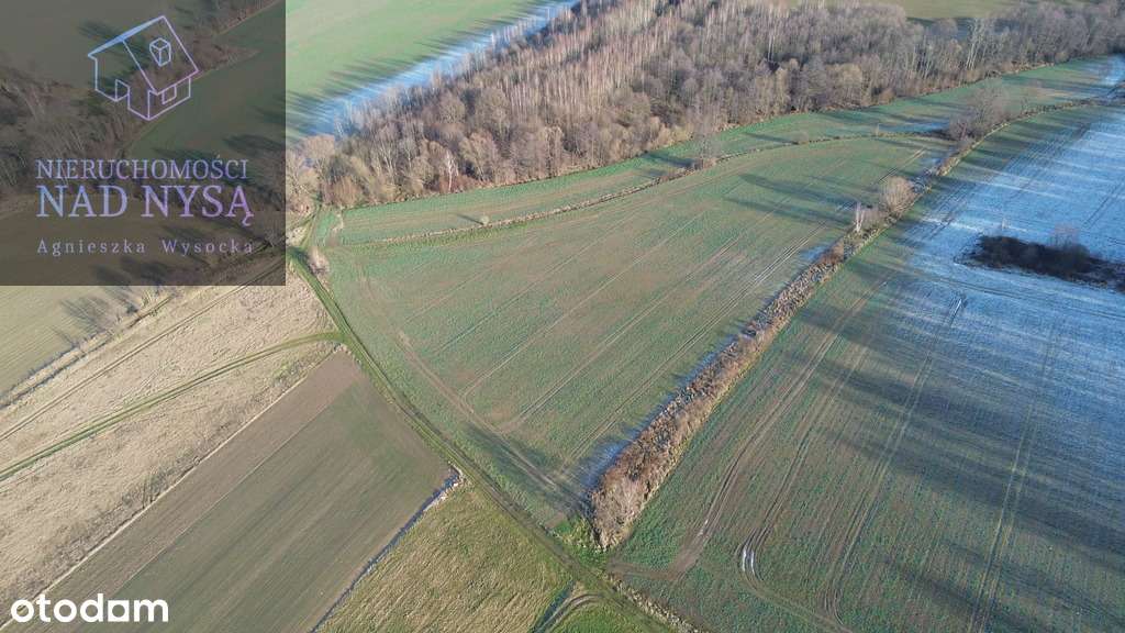 Sławnikowice działka rolna! pow. 19849 m2! - Pełny obrazek: 5/5