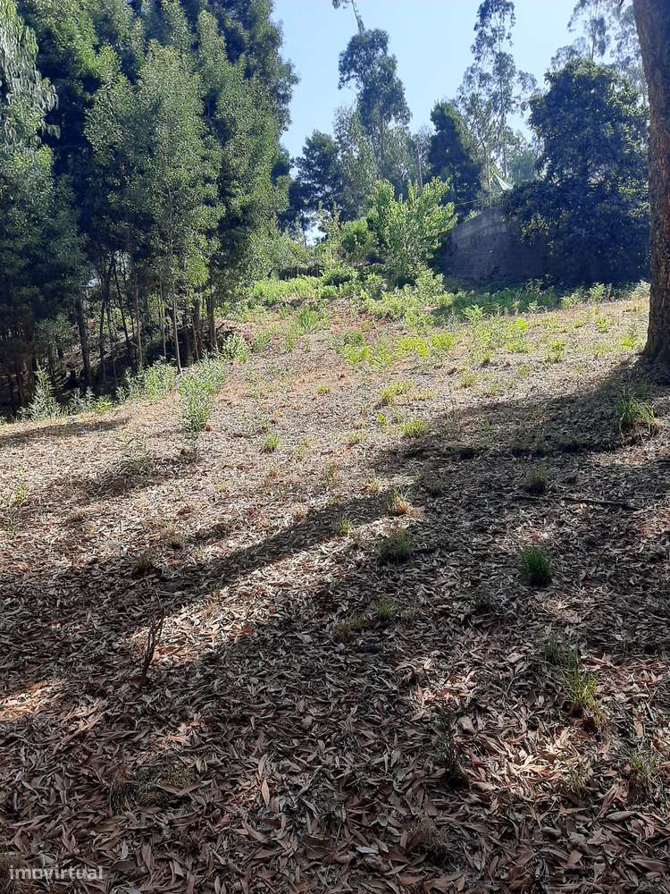 Vende quinta Termas São Vicente Penafiel-22