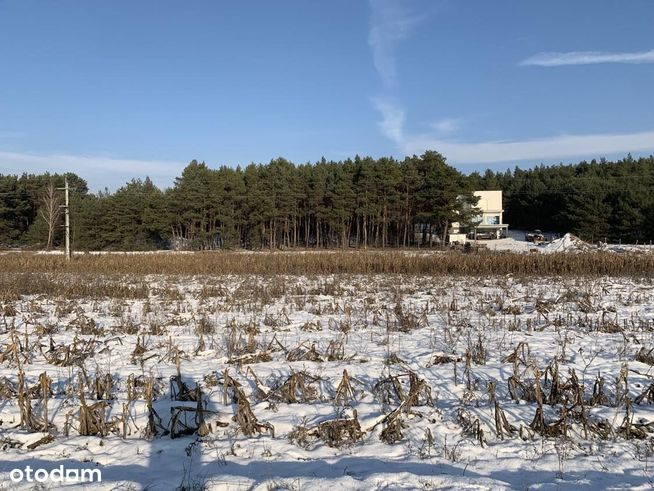 Sprzedam działkę 20km od Torunia Osiek nad Wisłą